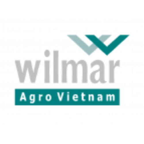 Băng Tải Việt Sun